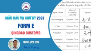 mẫu dấu và chữ ký form E 2023 Qingdao customs