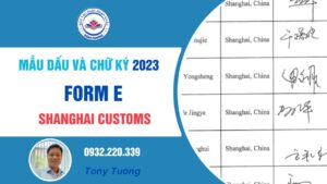 mẫu dấu và chữ ký form E 2023 Shanghai customs