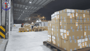 Dịch vụ hải quan xuất nhập khẩu tại kho TCS